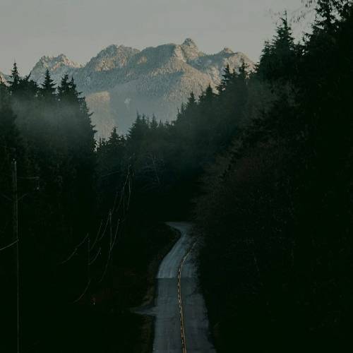  من علاقمندم بهت ولی دل نمیبندم بهت چون به دلم قول تنهایی دادم نمیزنم زیر قولم حتی اگه سرم بره